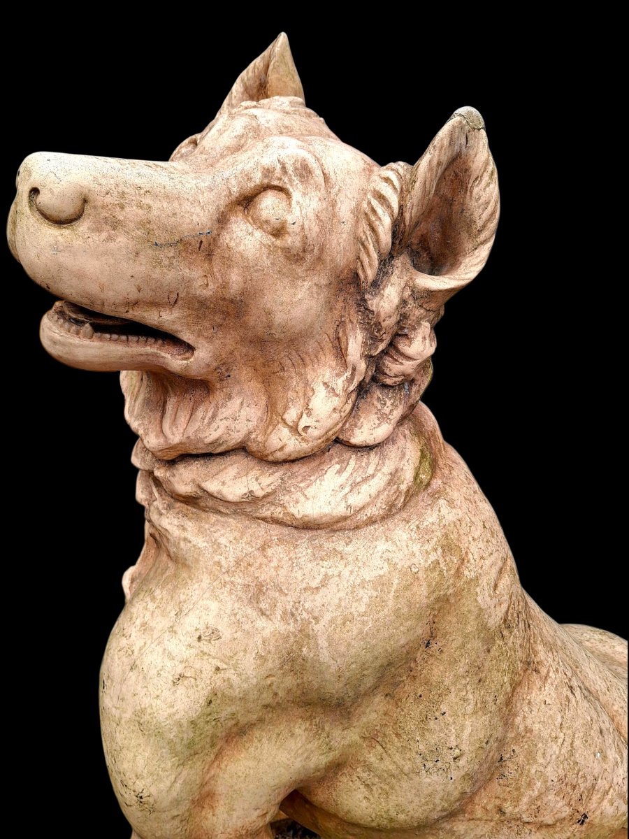 Terracotta Dog Statue -photo-4