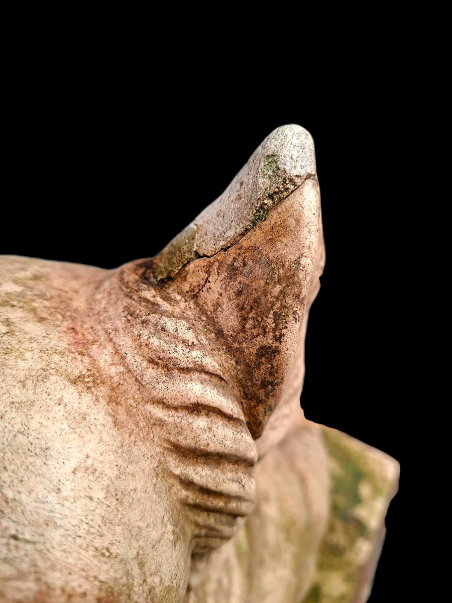 Terracotta Dog Statue -photo-6