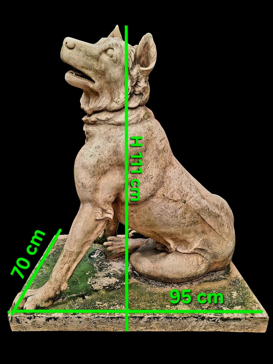 Terracotta Dog Statue -photo-8