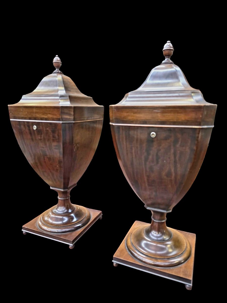 A Pair Of Covered Urns-photo-4