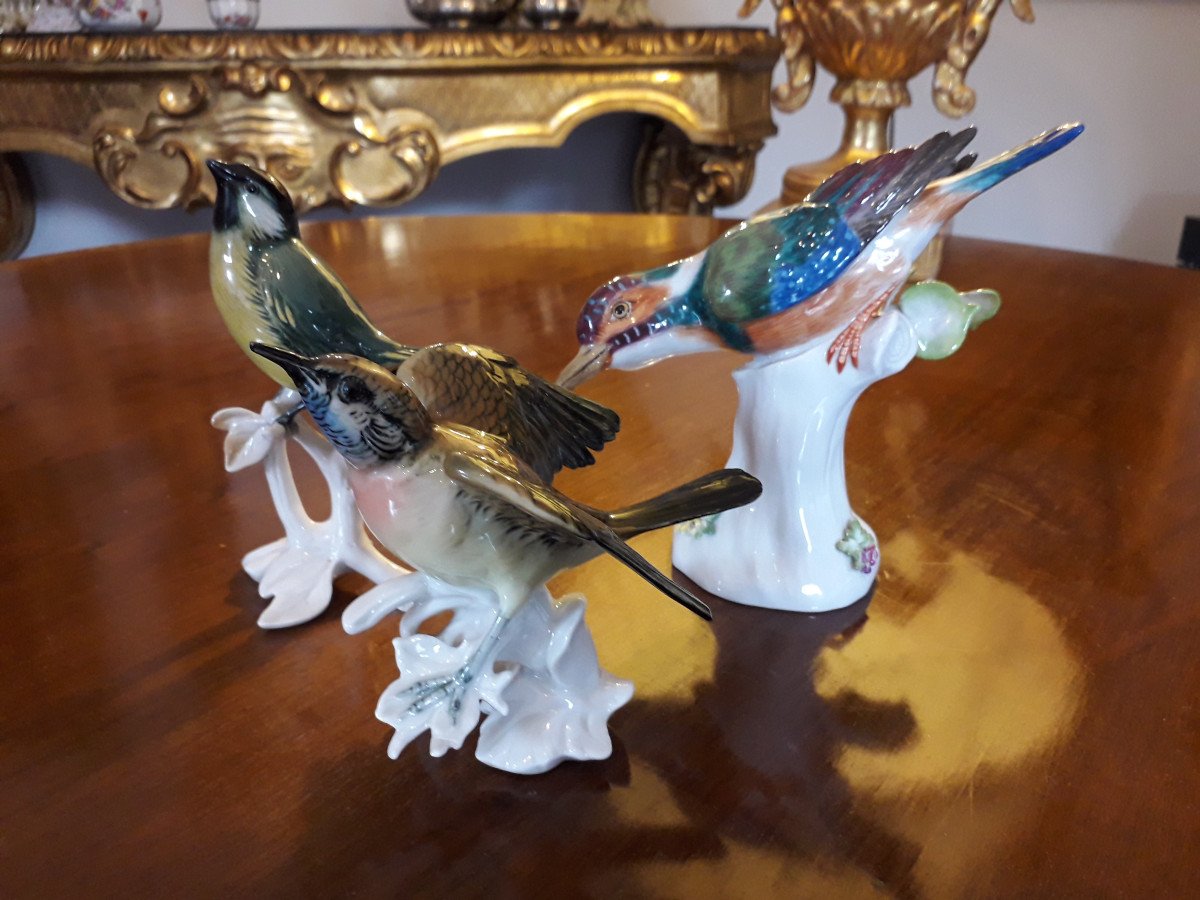 Oiseaux en Porcelaine de Meissen et Saxe-photo-2
