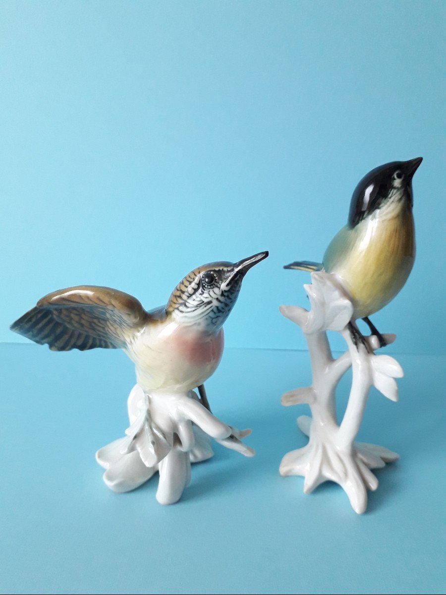 Oiseaux en Porcelaine de Meissen et Saxe-photo-4