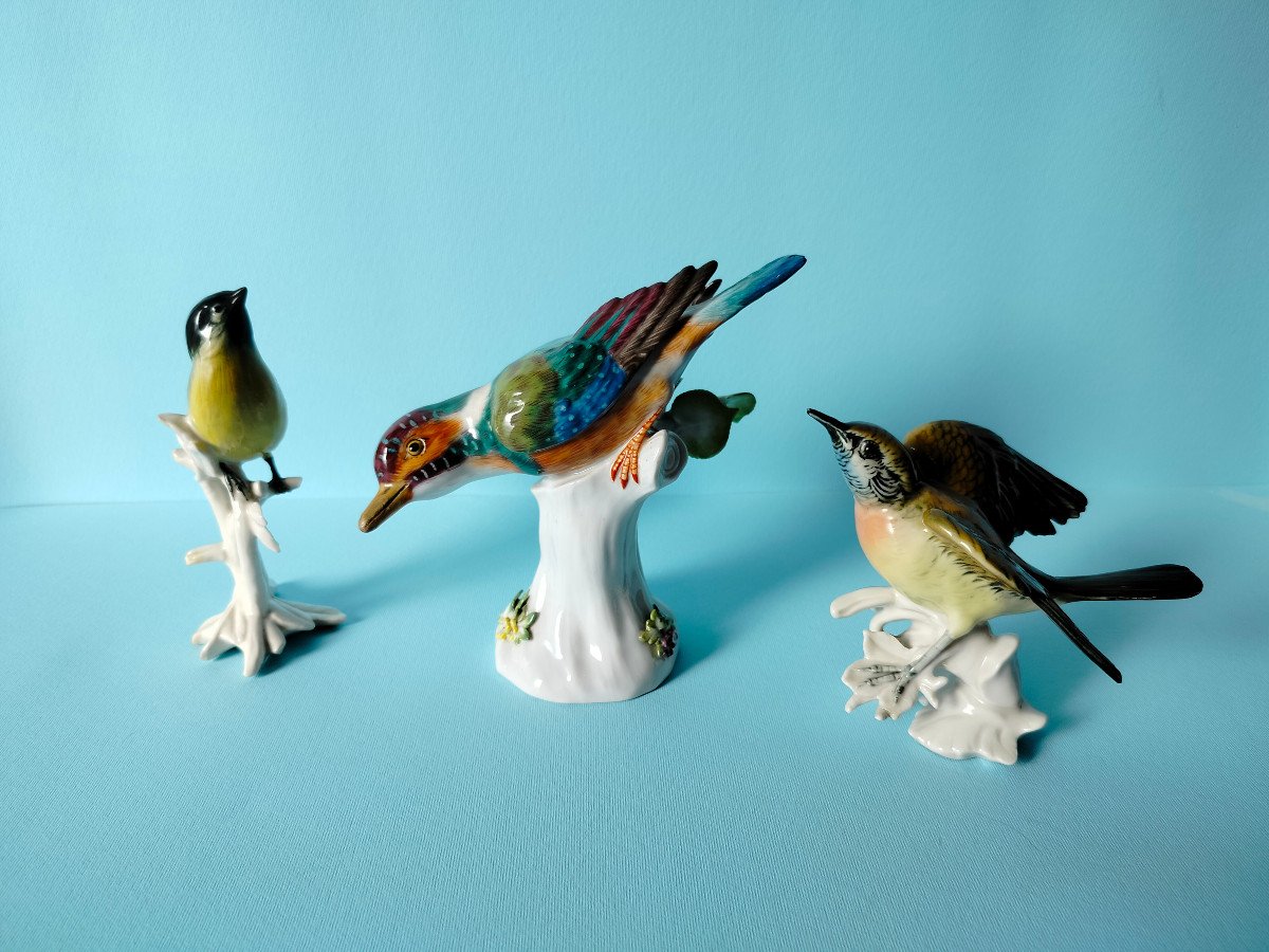 Oiseaux en Porcelaine de Meissen et Saxe