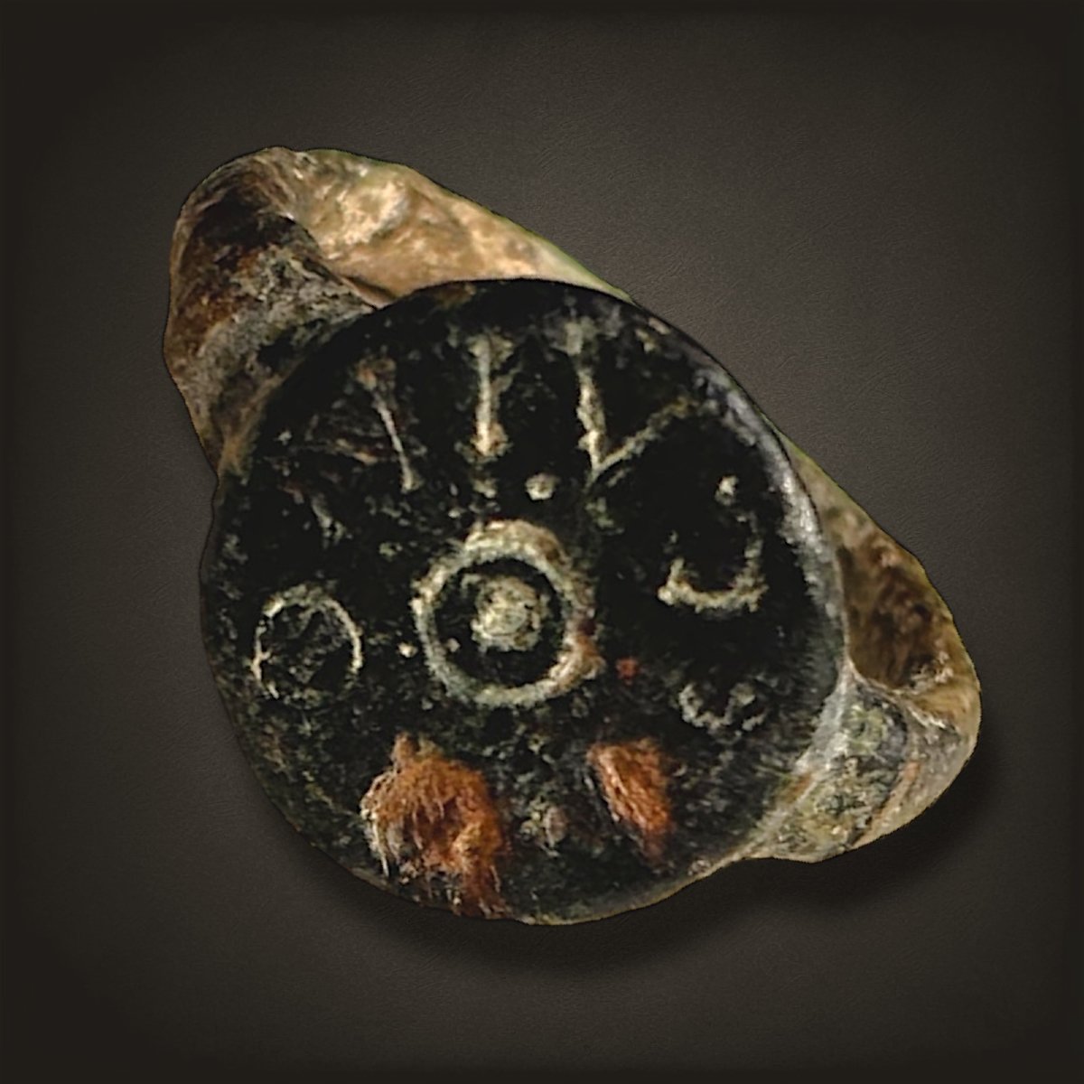 Roman Bronze Ring "antonivs"-photo-2