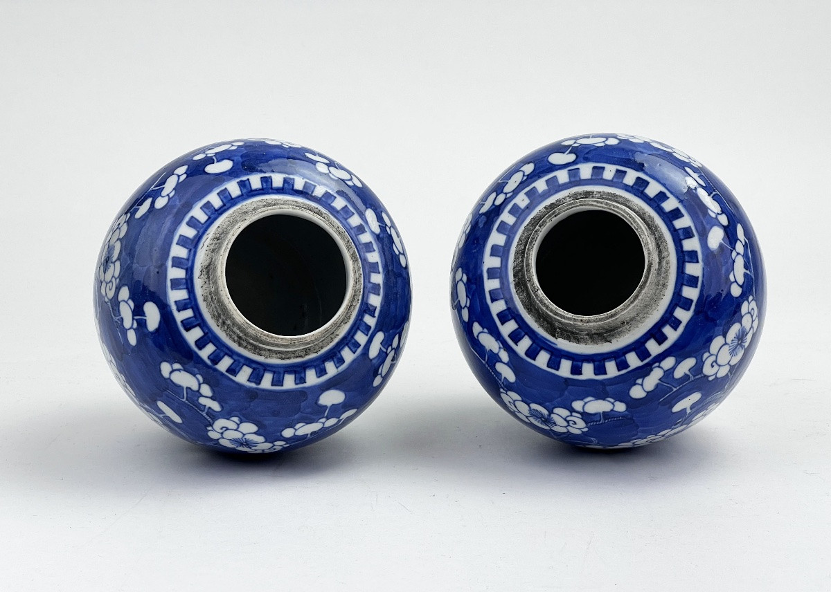 Pair Of Chinese Prunus Pots-photo-4