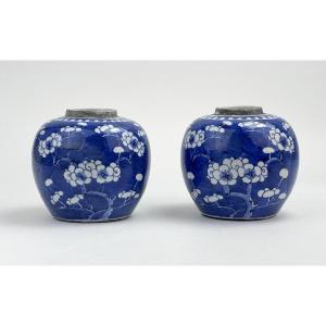 Pair Of Chinese Prunus Pots