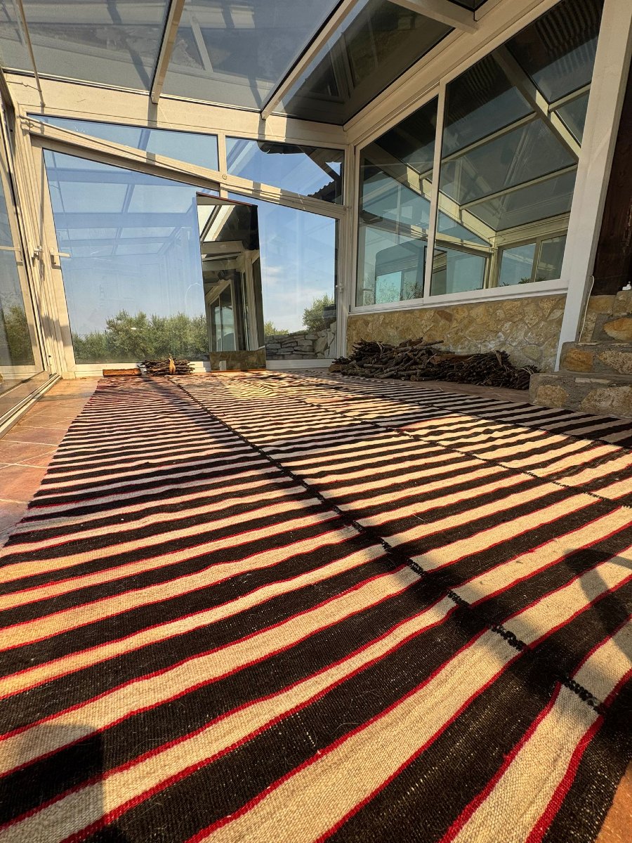 Tapis Kilim Mazandaran Dimensions : 350 × 210 cm-photo-3