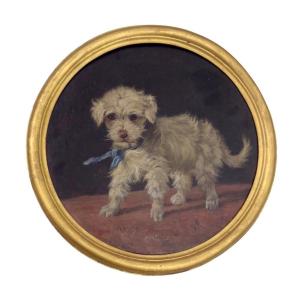 Small Dog With A Blue Ribbon By An Unknown 19th-century Painter