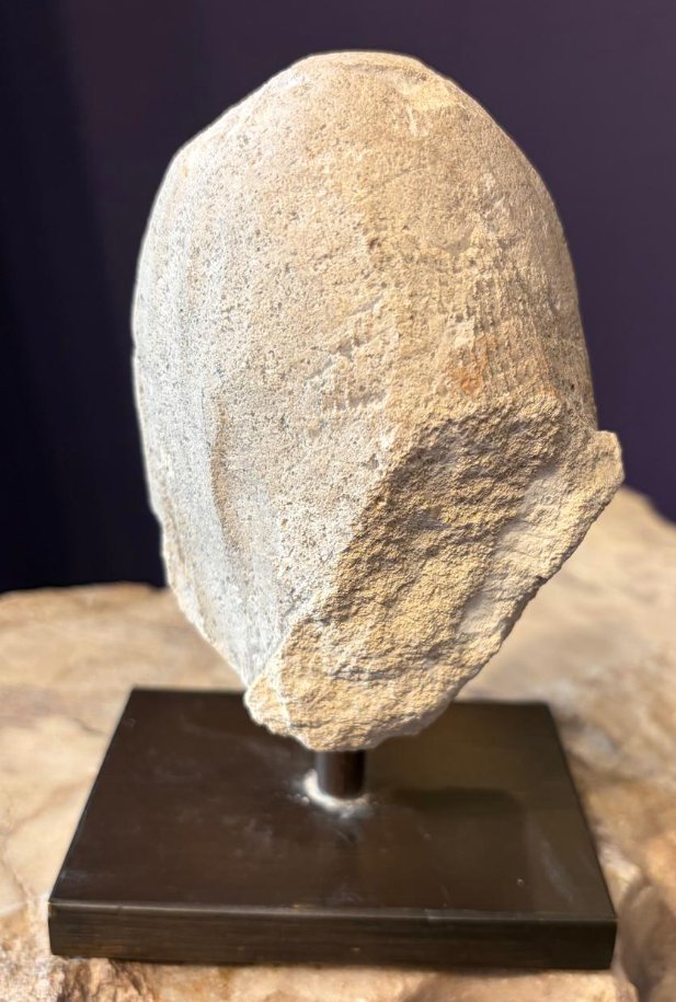 French Fragment-photo-3