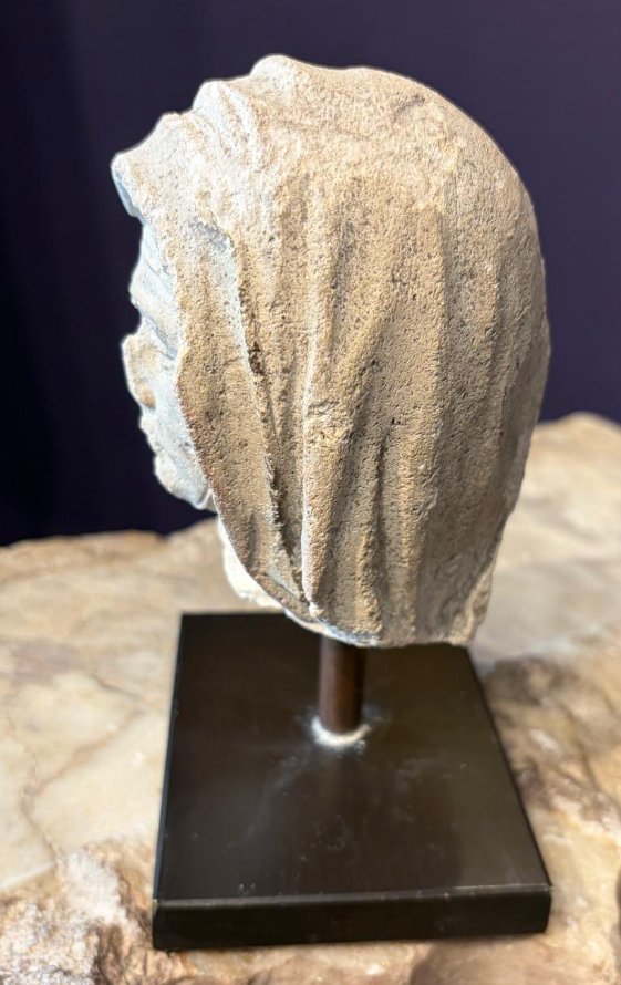 French Fragment-photo-4