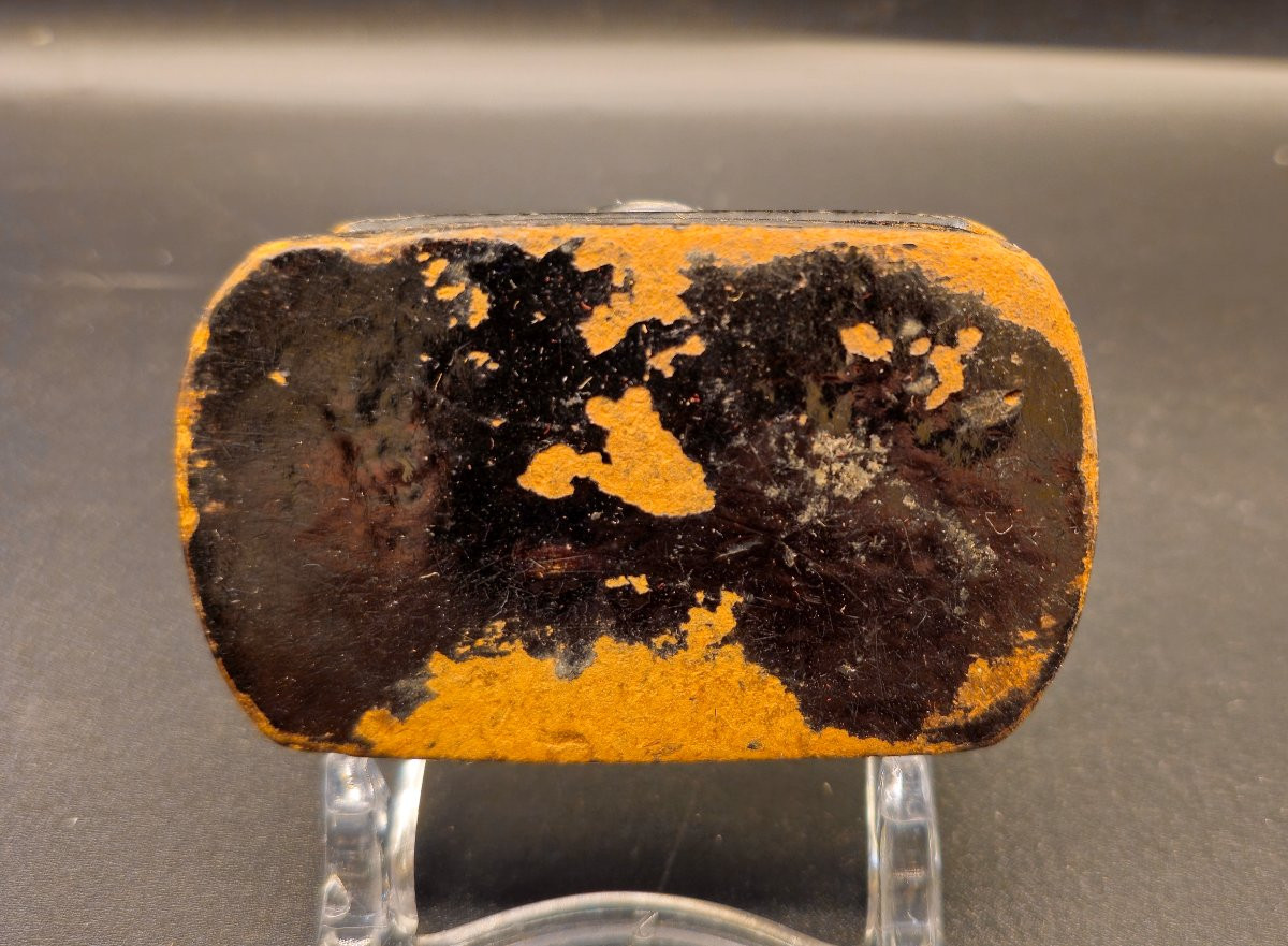 Papier-mâché Snuffbox By Leclerc De Buffon, E.gatteaux-photo-2