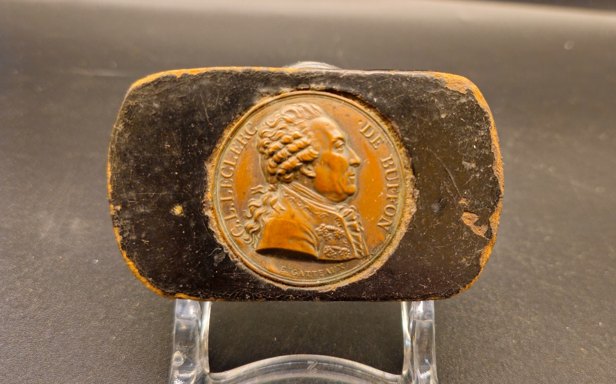 Papier-mâché Snuffbox By Leclerc De Buffon, E.gatteaux