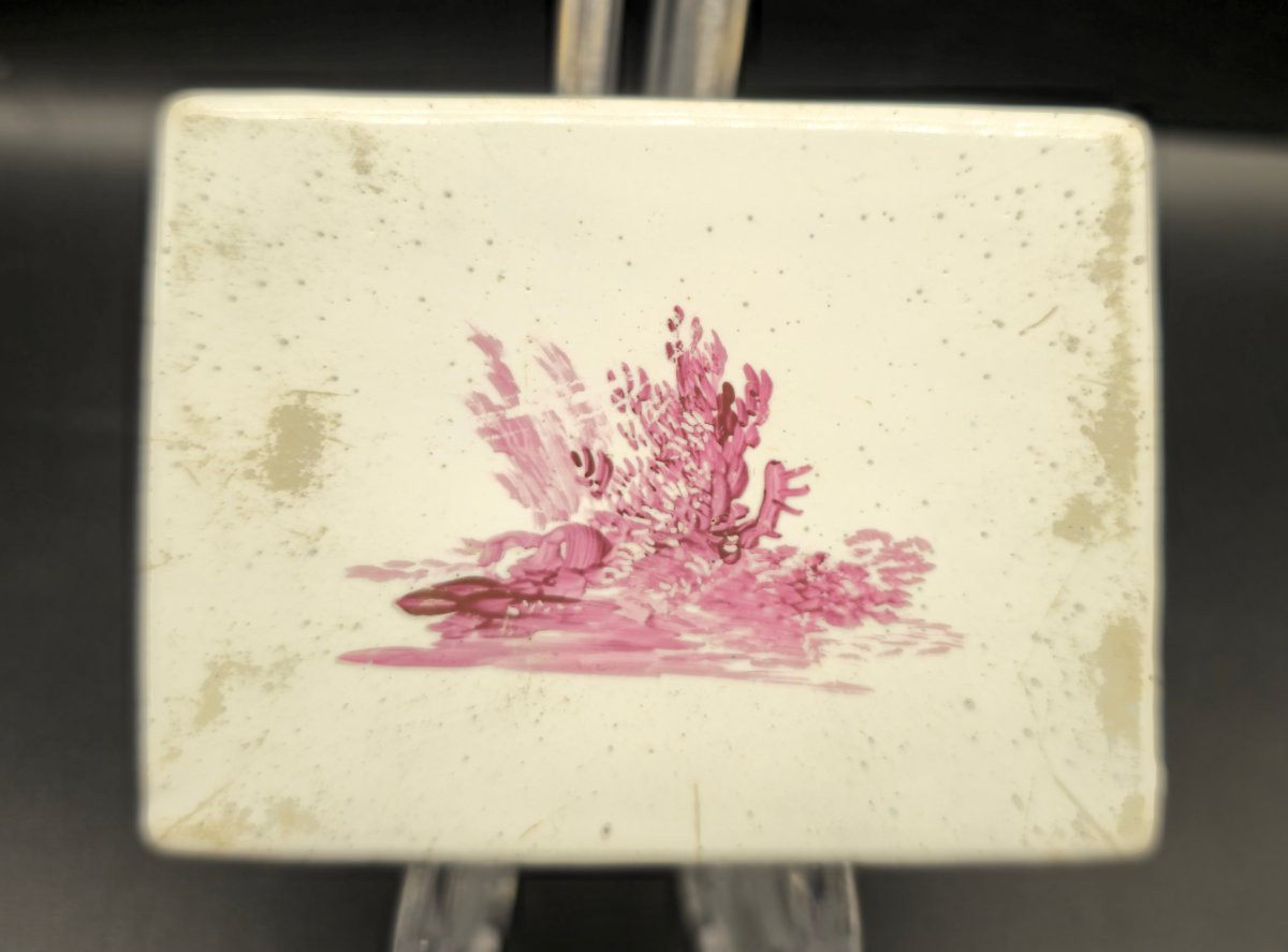 Enamel Snuffbox With Sanguine Decoration-photo-4