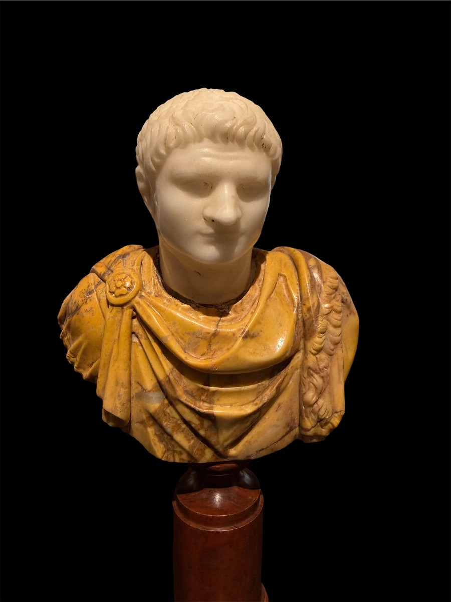 Paire de Bustes en Marbre Statuaire - Marc Aurèle et Titus - Époque du Grand Tour,Fin XVII S.-photo-2