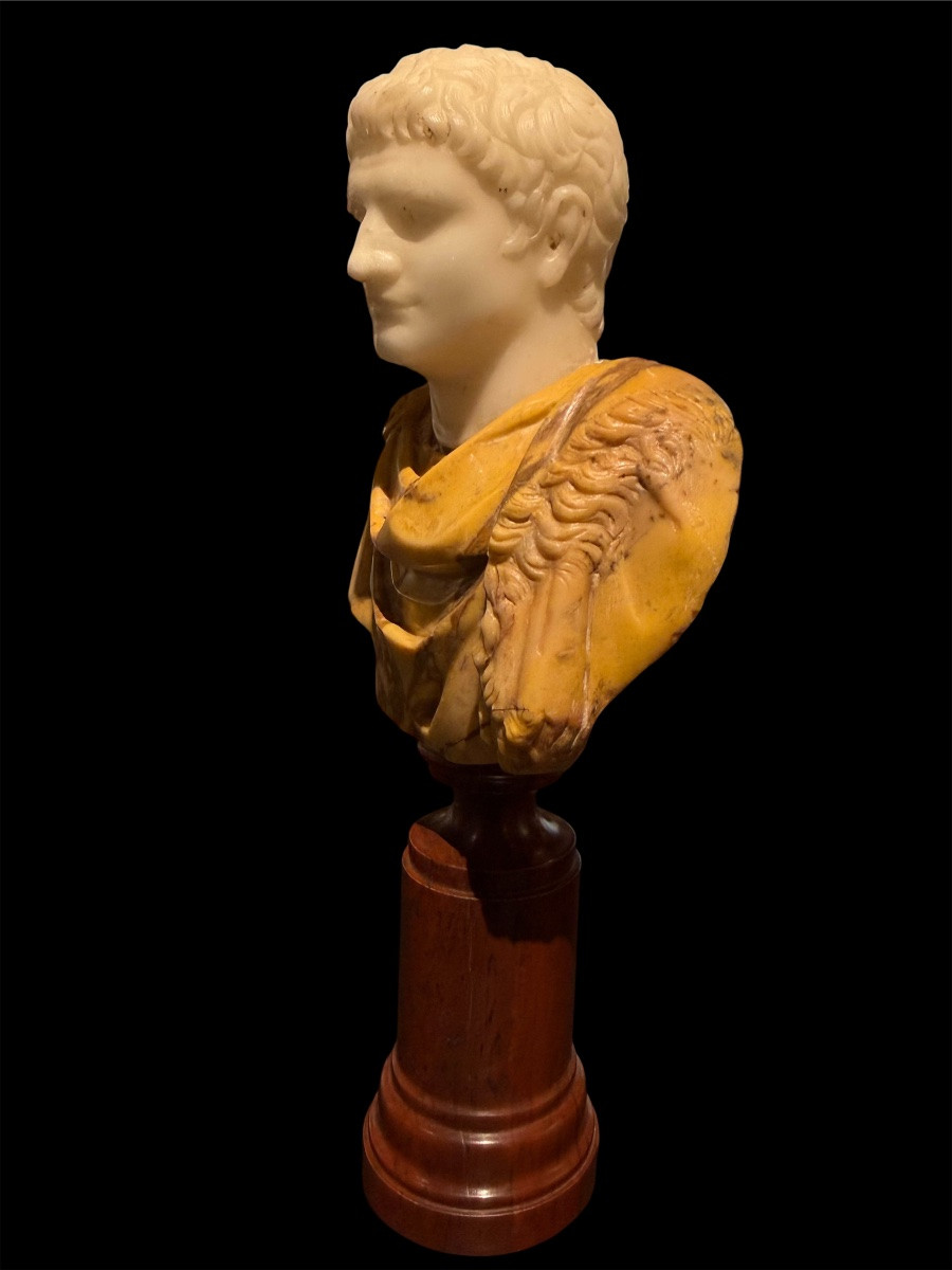 Paire de Bustes en Marbre Statuaire - Marc Aurèle et Titus - Époque du Grand Tour,Fin XVII S.-photo-6