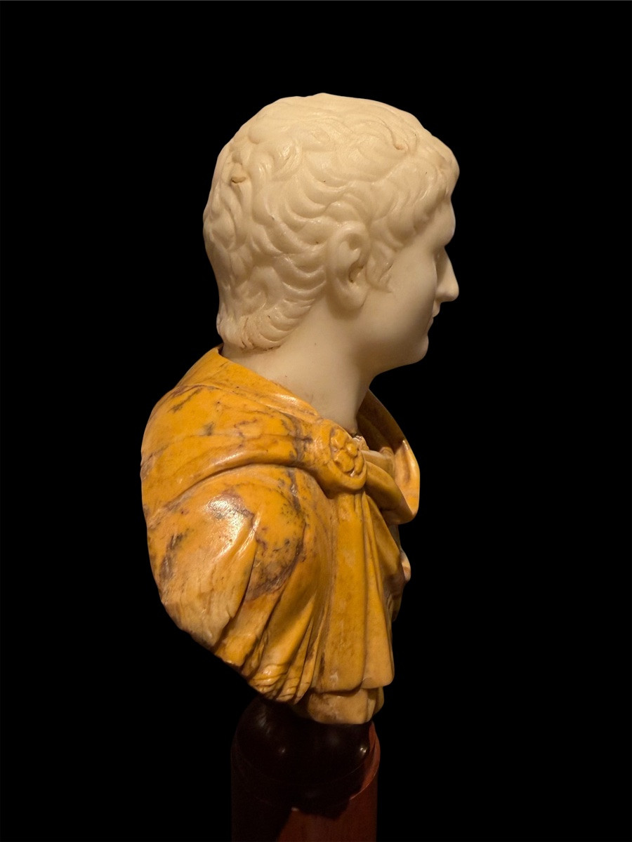 Paire de Bustes en Marbre Statuaire - Marc Aurèle et Titus - Époque du Grand Tour,Fin XVII S.-photo-7