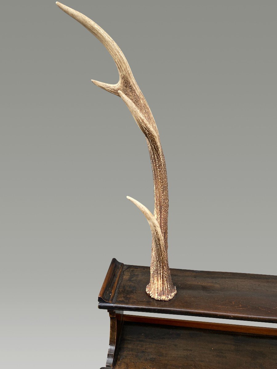 Katana Stand Furniture With Deer Antlers-photo-4