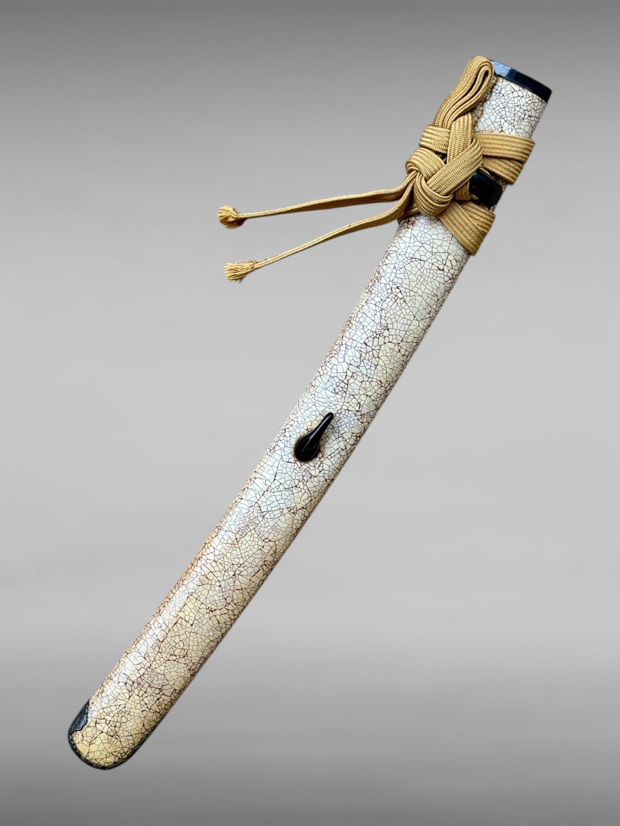 Sabre Japonais Wakizashi monté en shirasaya avec certificat NBTHK - Période Edo (début XIXe). -photo-2