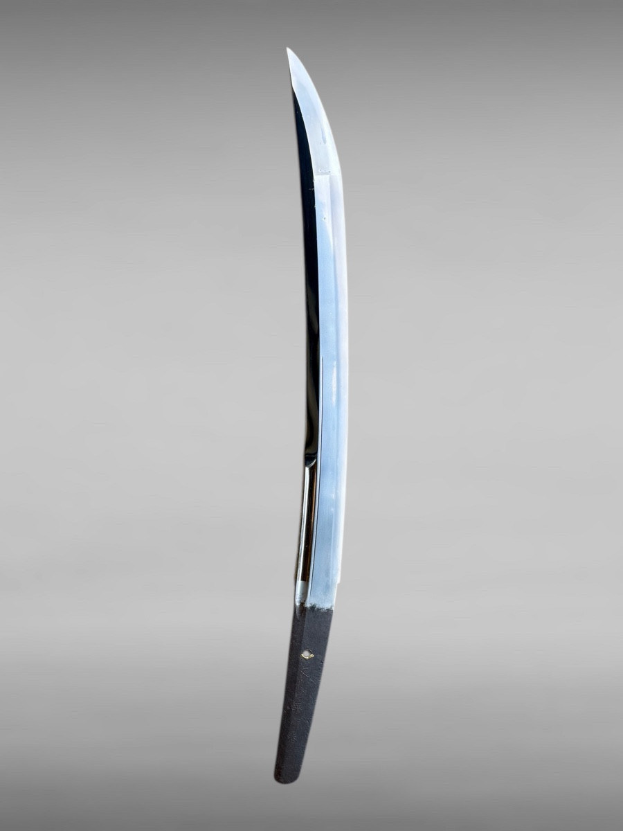 Sabre Japonais Wakizashi monté en shirasaya avec certificat NBTHK - Période Edo (début XIXe). -photo-7