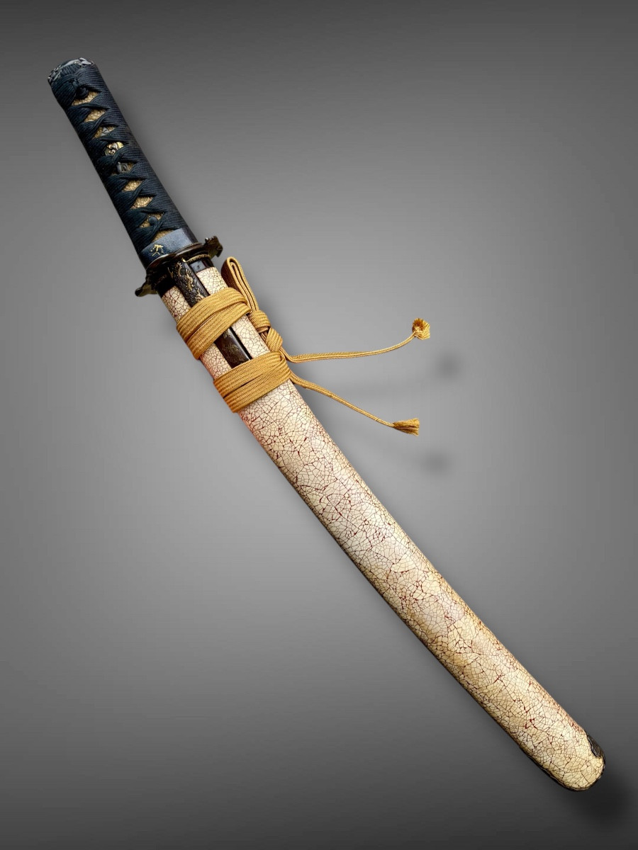 Sabre Japonais Wakizashi monté en shirasaya avec certificat NBTHK - Période Edo (début XIXe). 
