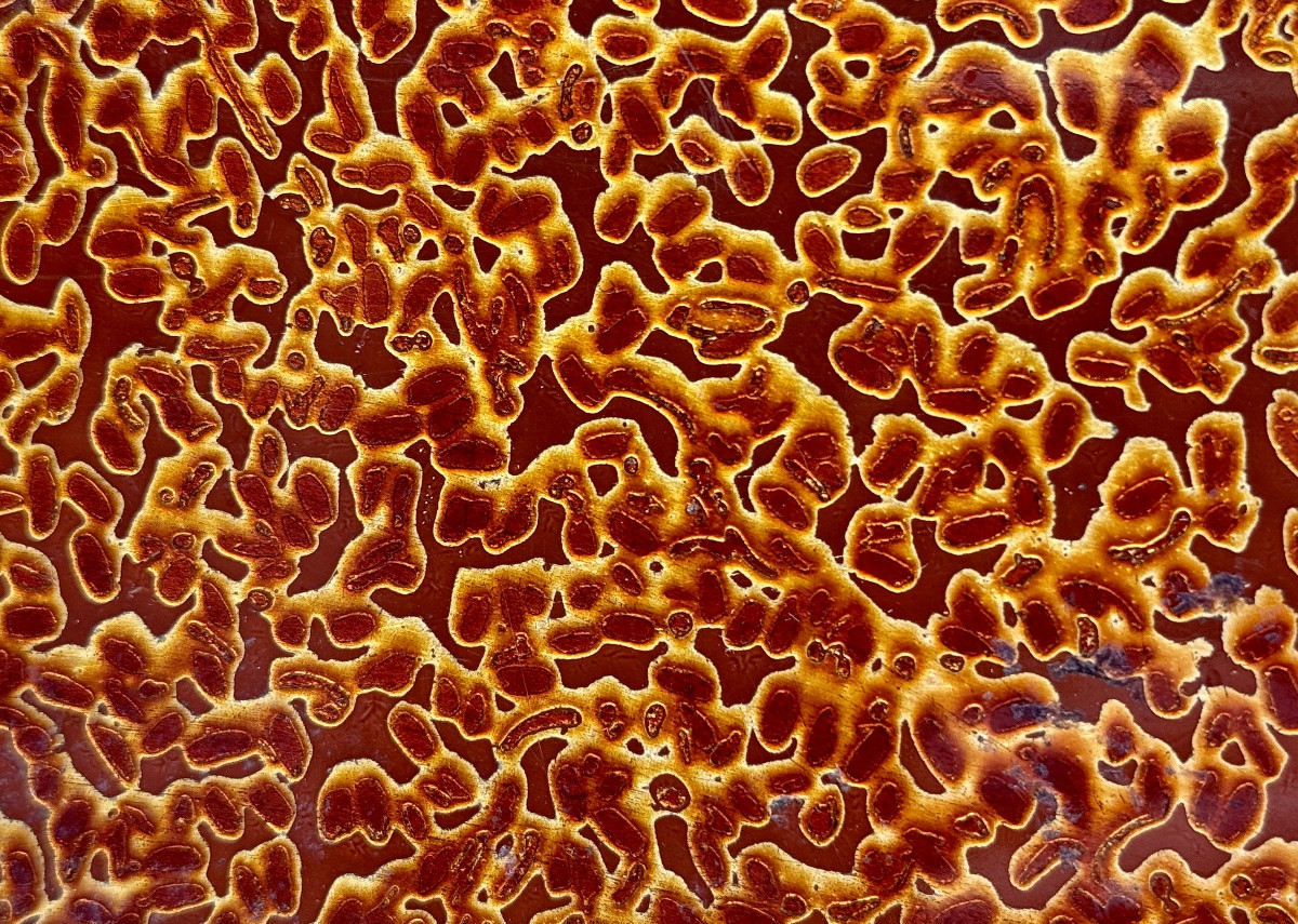 Takamakura, Tsugaru-nuri Lacquer Neck Rest - Edo Period (1603-1868).-photo-7