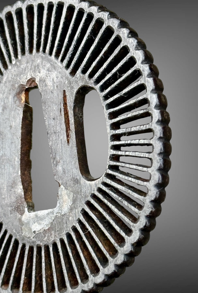 Daisho Of Kobushi-gata Tsubas In Iron Depicting Chrysanthemums - Edo Period (1603 - 1868).-photo-4