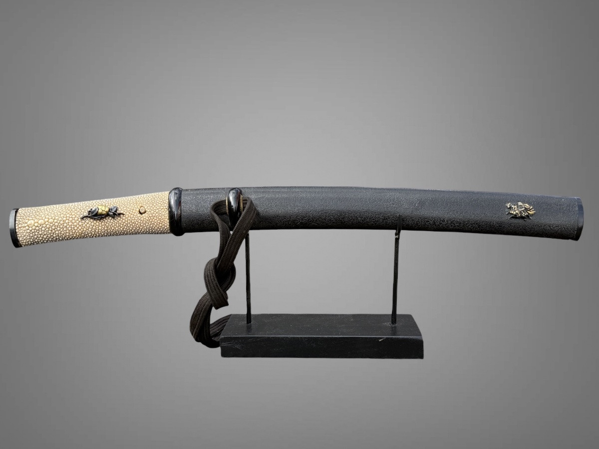 Japanese Samurai Tanto - Edo Period (1603-1868).-photo-8