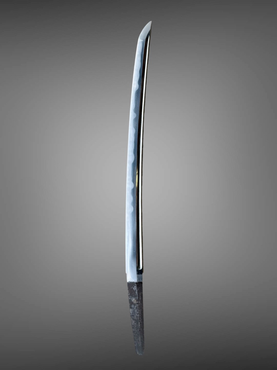 Japanese Wakizashi Sword Attributed To Fujiwara Munemishi, Nbthk Hozon Certificate - Late Edo. -photo-6