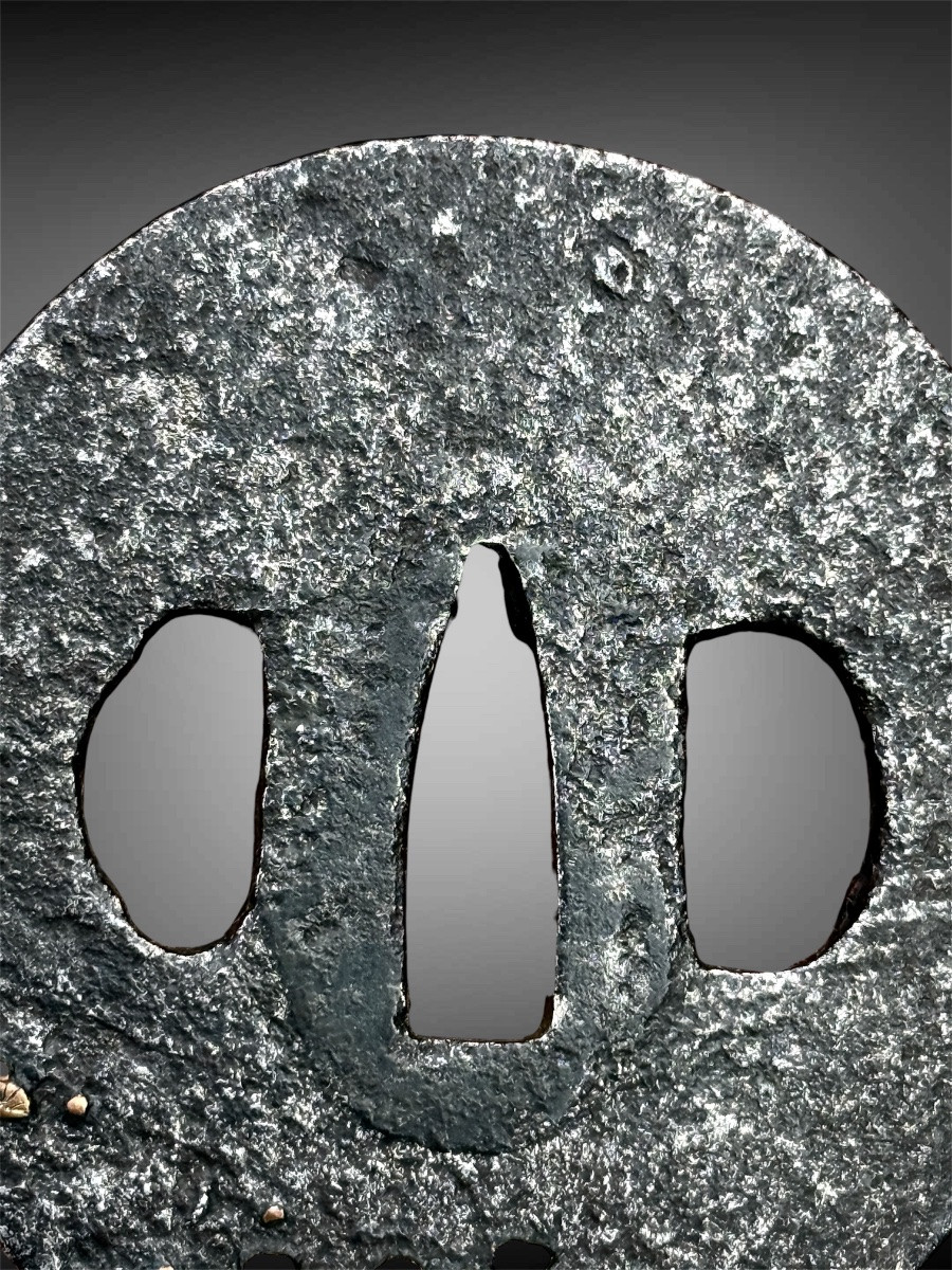 Iron Nara-maru-gata Tsuba Decorated With A Fish, Edo Period (1603-1868).-photo-2