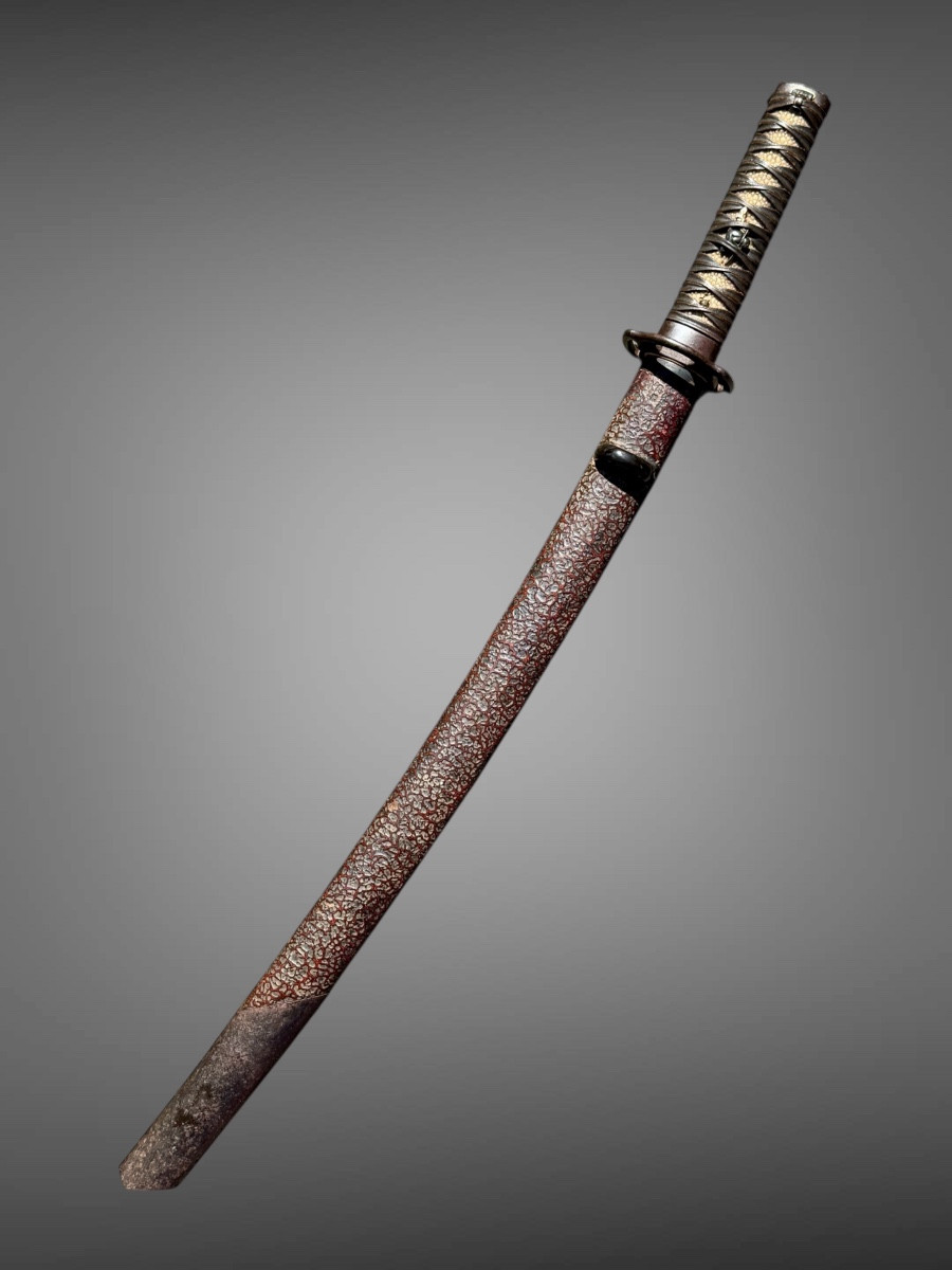 Wakizashi de samuraï - Période Edo (1603-1868).