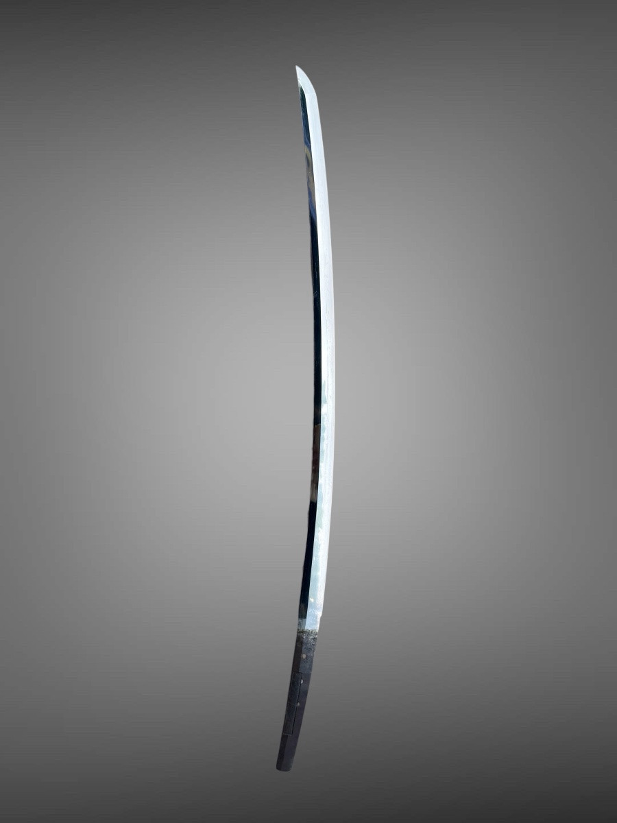 Japanese Katana Sword, Signed Osafune Sukesada, 1559 - Nbthk And Tokubetsu Kicho Certificates.-photo-5