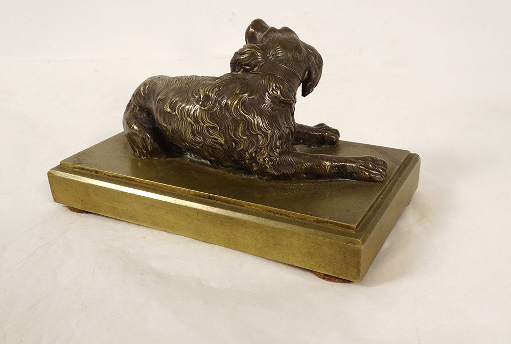 Sculpture Presse-papier Bronze Doré Chien Couché épagneul Restauration XIXè-photo-3