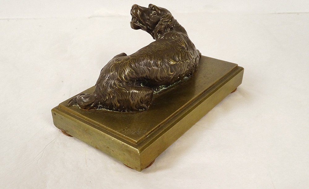 Sculpture Presse-papier Bronze Doré Chien Couché épagneul Restauration XIXè-photo-4