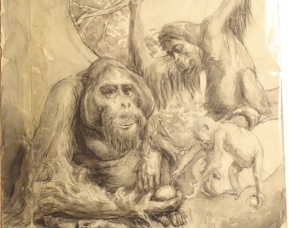 Animal Charcoal Drawing Atelier René Hérisson Monkey Family Orangutan XXth-photo-2
