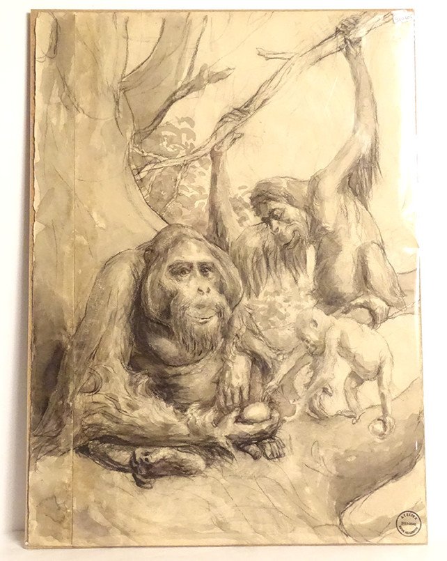 Animal Charcoal Drawing Atelier René Hérisson Monkey Family Orangutan XXth