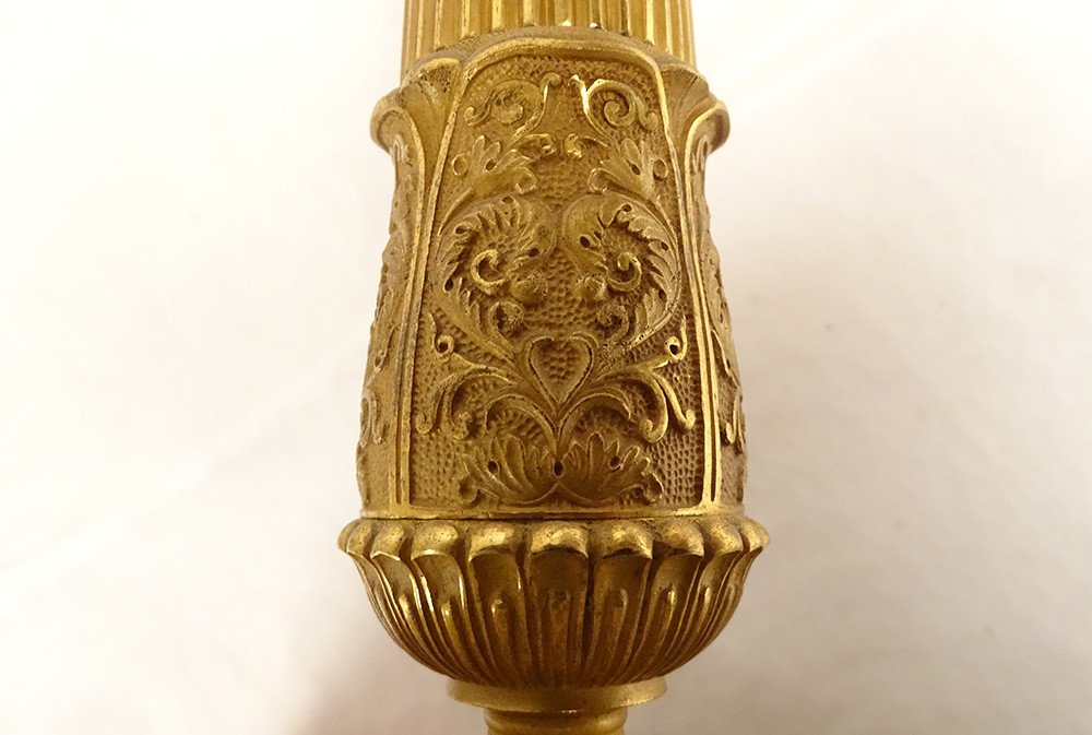 Pair Candlesticks Candlesticks Gilt Bronze Butterflies Flower Fruit First Empire Nineteenth-photo-6