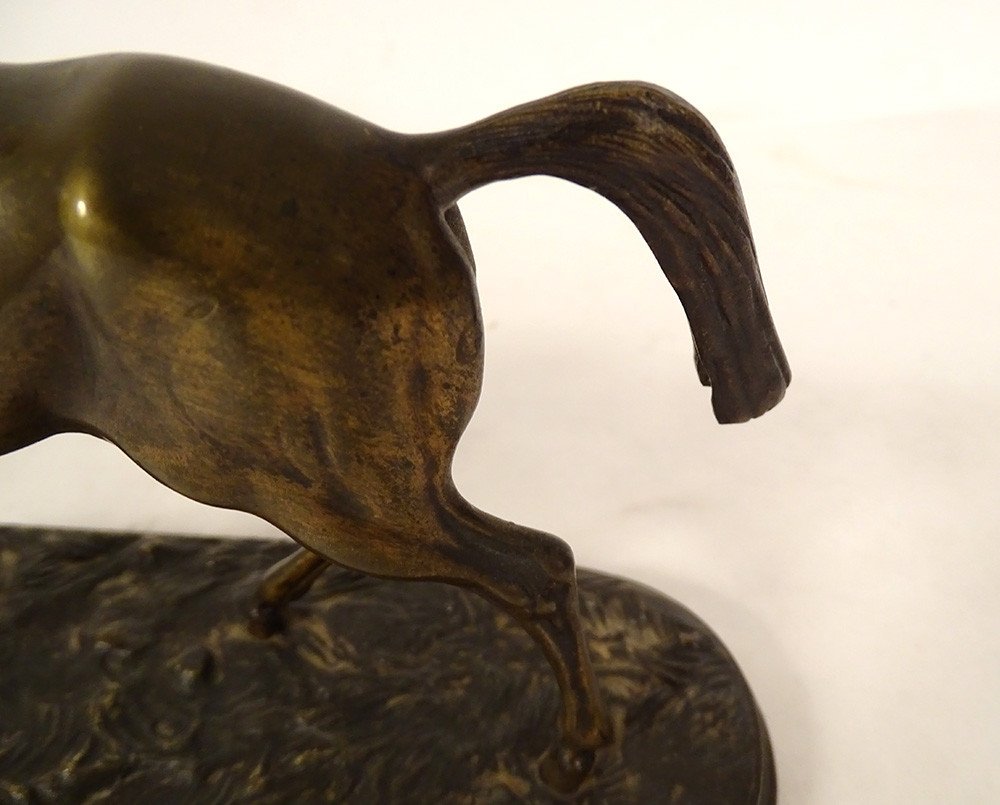 Bronze Sculpture Equestrian Statue Animal Horse 19th Century-photo-3