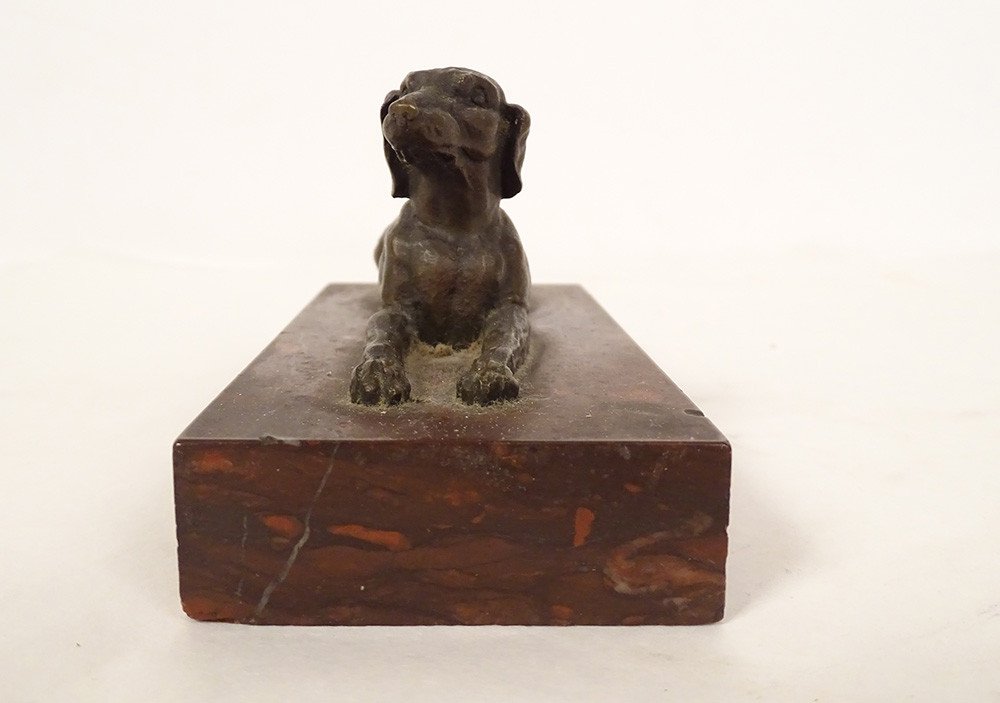 Paperweight Bronze Sculpture Lying Dog Shorthaired Pointer Red Marble Griotte 19th-photo-3