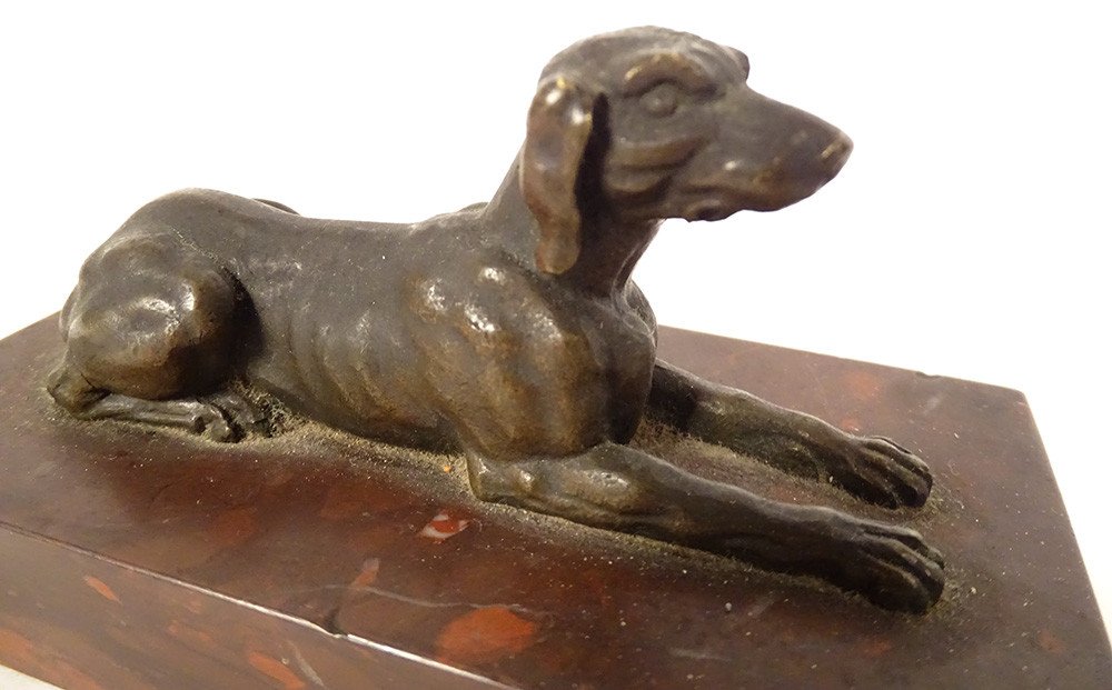 Paperweight Bronze Sculpture Lying Dog Shorthaired Pointer Red Marble Griotte 19th-photo-4