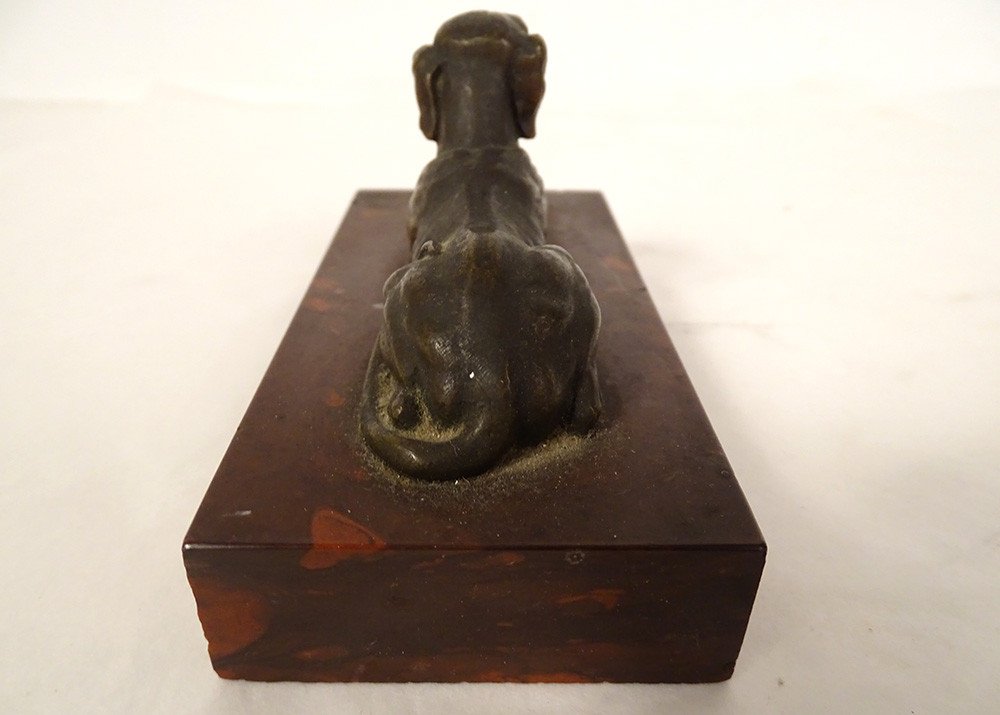 Paperweight Bronze Sculpture Lying Dog Shorthaired Pointer Red Marble Griotte 19th-photo-1