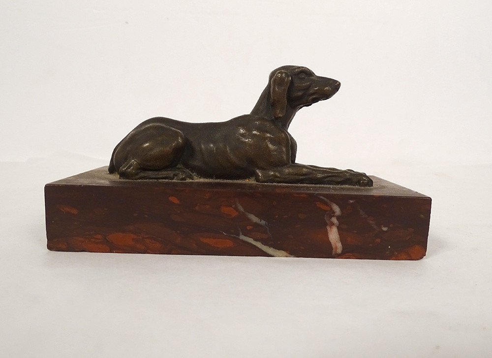 Paperweight Bronze Sculpture Lying Dog Shorthaired Pointer Red Marble Griotte 19th-photo-2