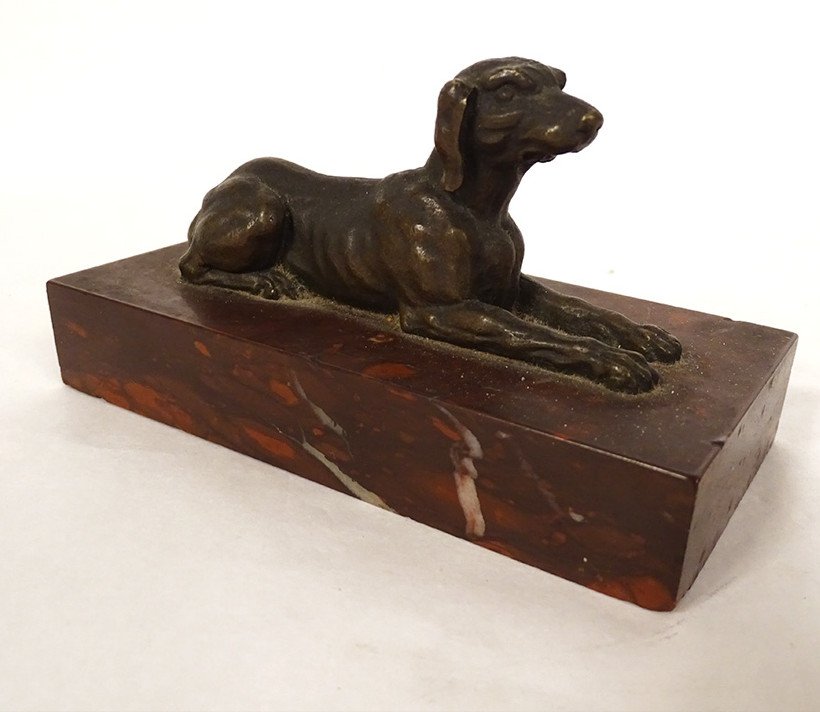 Paperweight Bronze Sculpture Lying Dog Shorthaired Pointer Red Marble Griotte 19th