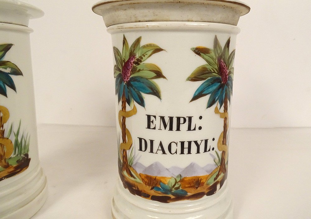 2 Paris Porcelain Pharmacy Jars Palm Trees Snakes 3 Reigns Nature 19th-photo-2