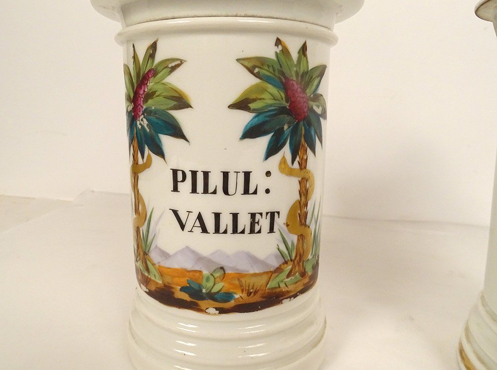 2 Paris Porcelain Pharmacy Jars Palm Trees Snakes 3 Reigns Nature 19th-photo-3