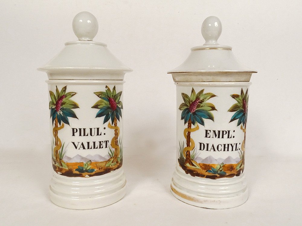2 Paris Porcelain Pharmacy Jars Palm Trees Snakes 3 Reigns Nature 19th