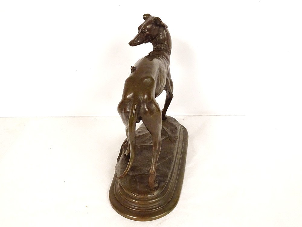 Bronze Sculpture Alfred Barye Dog Foy Greyhound Fly Animal 19th-photo-3