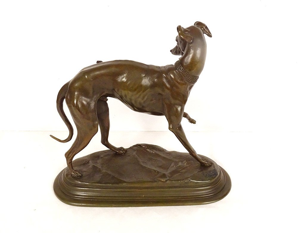 Bronze Sculpture Alfred Barye Dog Foy Greyhound Fly Animal 19th-photo-4