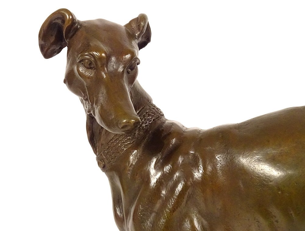 Bronze Sculpture Alfred Barye Dog Foy Greyhound Fly Animal 19th-photo-2