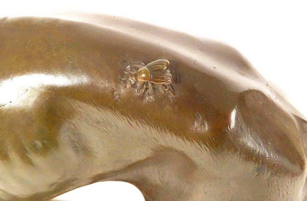 Bronze Sculpture Alfred Barye Dog Foy Greyhound Fly Animal 19th-photo-3