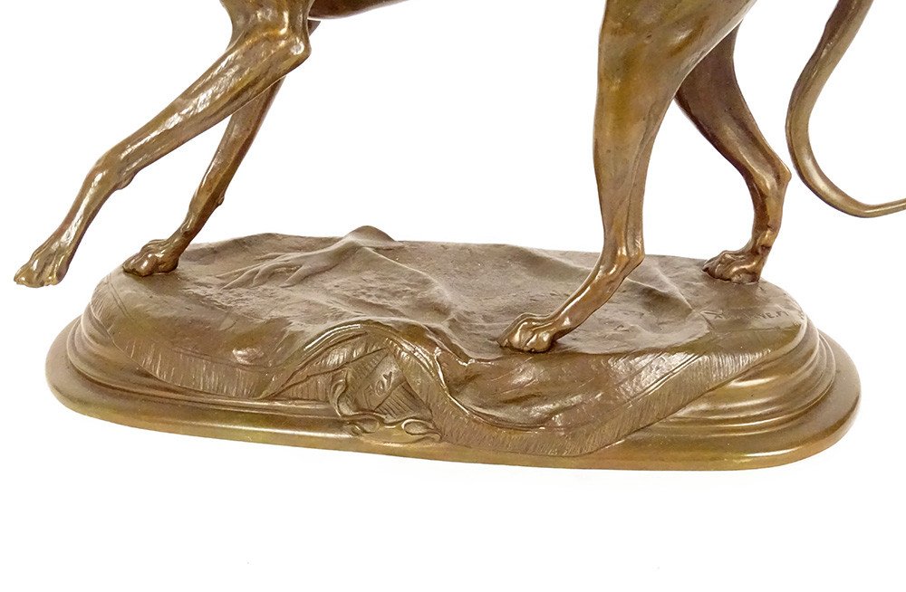 Bronze Sculpture Alfred Barye Dog Foy Greyhound Fly Animal 19th-photo-4